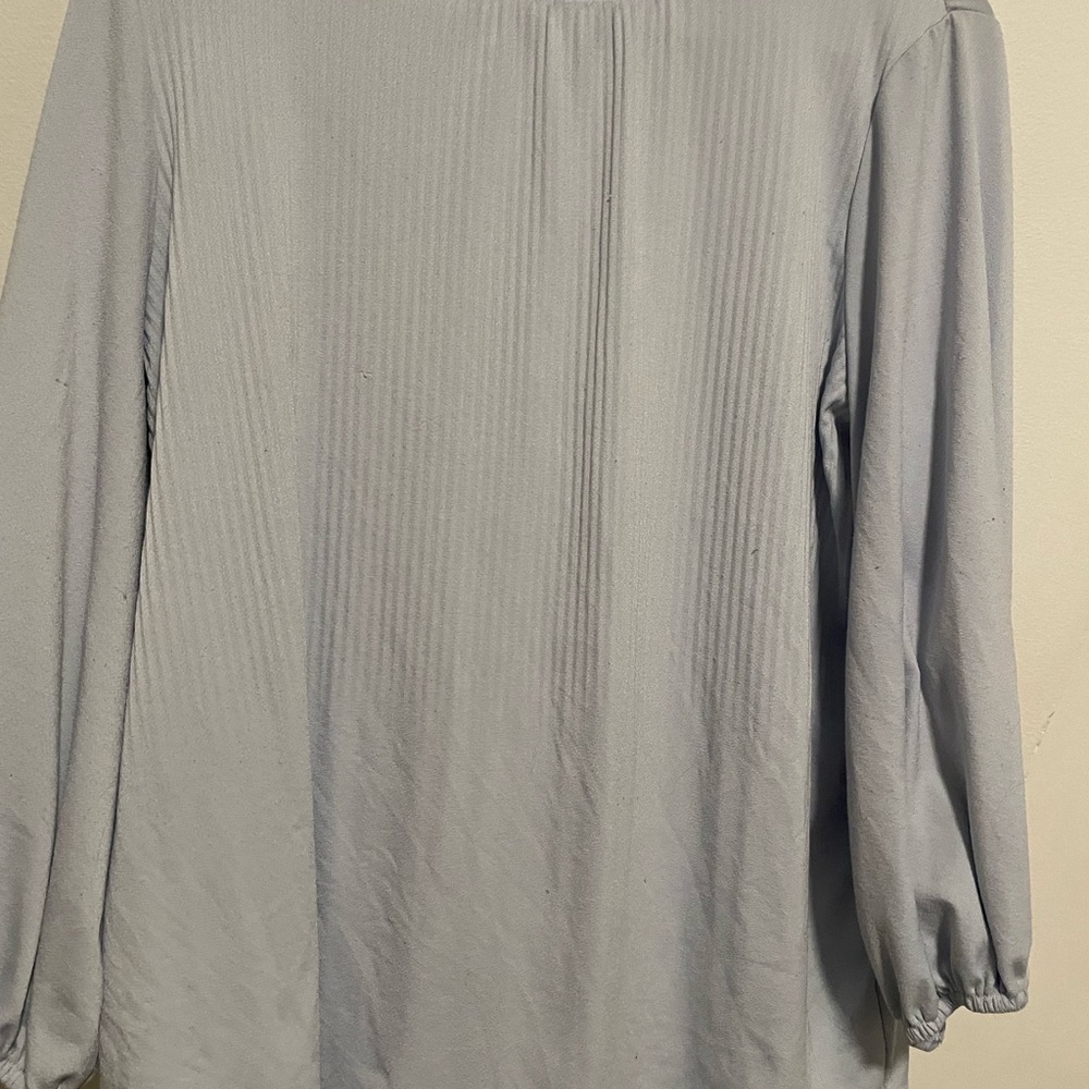 Adrianna Papell Soft Blue Blouse